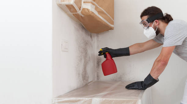 Professional Bathroom Mold Removal technician working in Lonaconing, MD